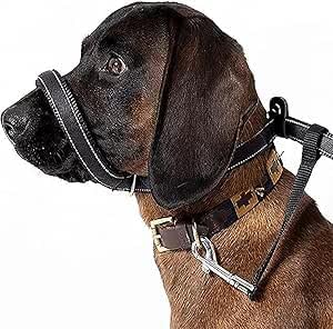 HR Figure of 8 Dog Lead - Flat Anti Pull Stop Dogs Pulling – Slip Leads Reflective with Padded Nose Support (210cm)